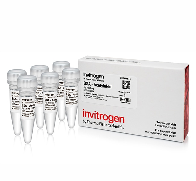 ACETYLATED BSA (20MG/ML)6X25MG Ambion® A